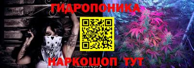ГАЛЛЮЦИНОГЕННЫЕ ГРИБЫ Балахна