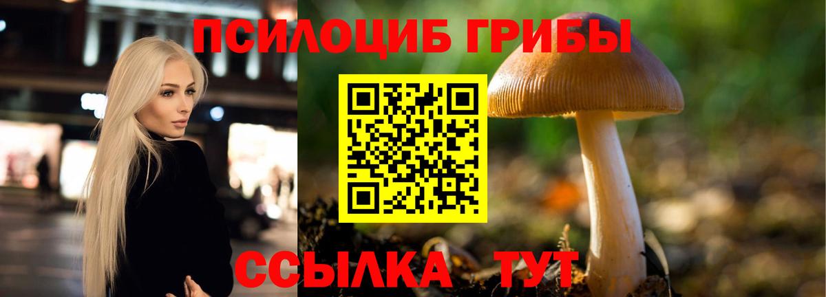 Псилоцибиновые грибы MAGIC MUSHROOMS Дзержинский