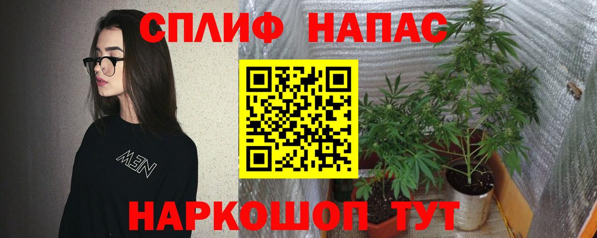 Бошки Шишки тримм Дзержинский